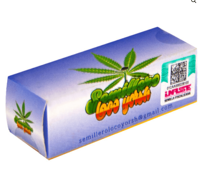 SEMILLA SATELITE LOCO YORSH X 5 + 1 DE REGALO